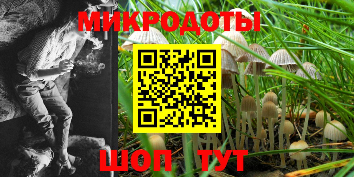 Галлюциногенные грибы GOLDEN TEACHER Советск